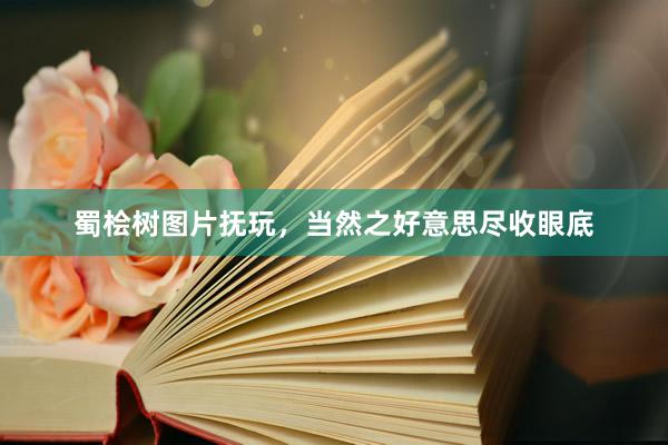 蜀桧树图片抚玩，当然之好意思尽收眼底